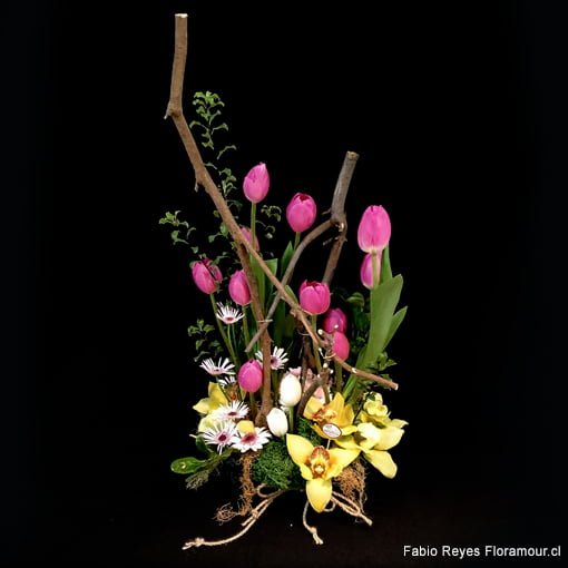 Arreglo de tulipanes y orquídeas - Floramour