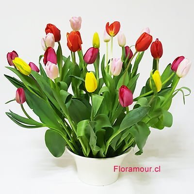 Arreglo floral de tulipanes moderno colorido