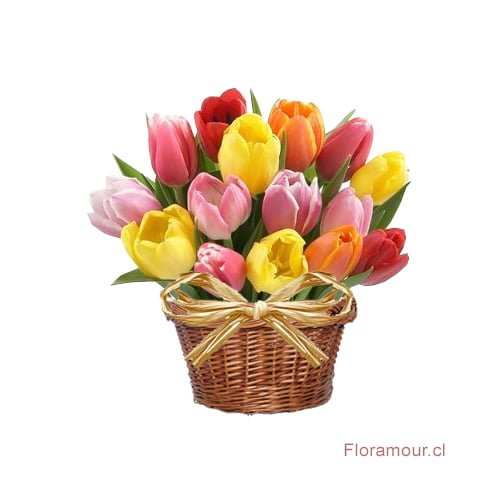 Cesta de tulipanes de colores con moño de raffia