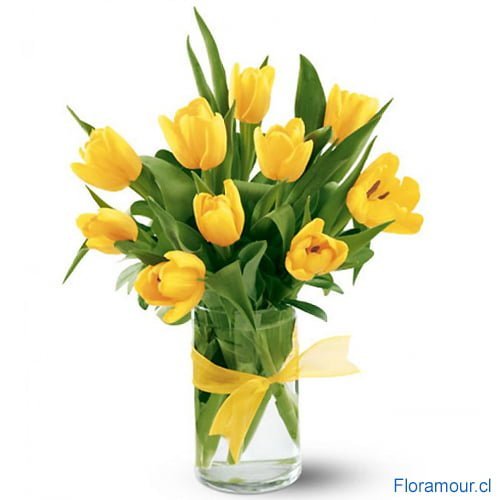 Florero cilíndrico con tulipanes amarillos