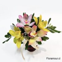 Maximun Arreglo de Orquídeas