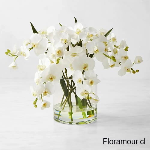 Arreglo en florero de vidrio con orquídeas phalenopsis blancas