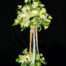 arreglo elegante para eventos o decoraciones