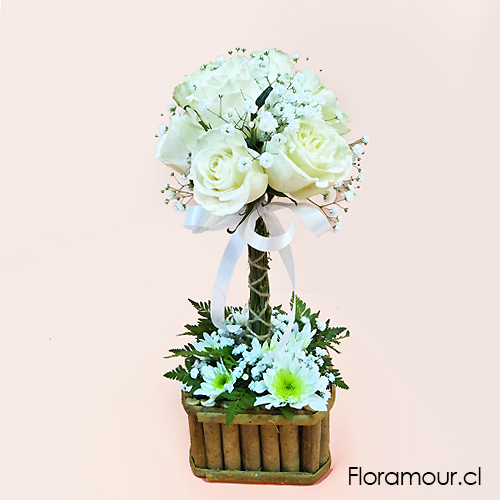 tendencia arreghlo elegante