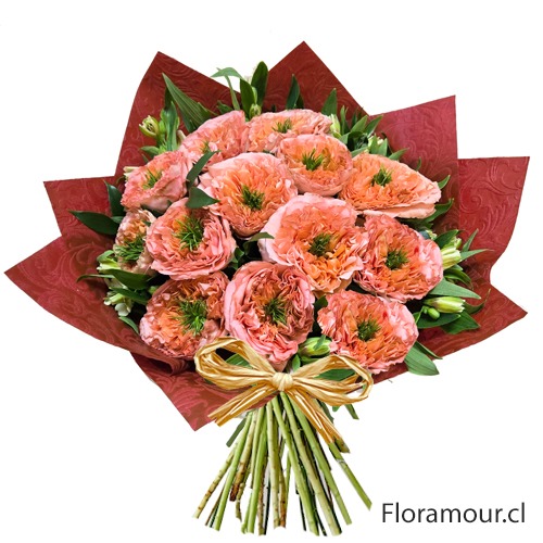 tendencia en rosas