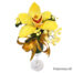 BELLAS ORQUIDEAS
