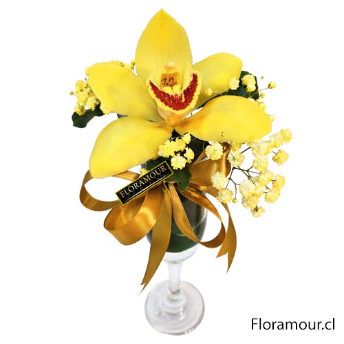 BELLAS ORQUIDEAS