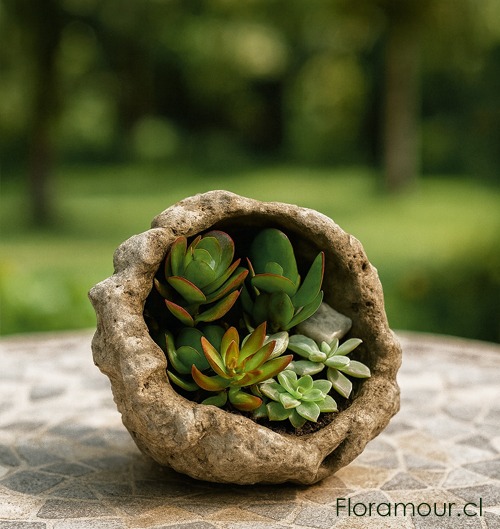 hermosas plantas